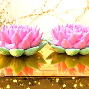 Lotus Bloom Candle